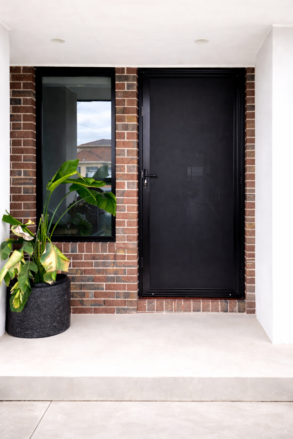 Perforated Aluminium Security screen Door